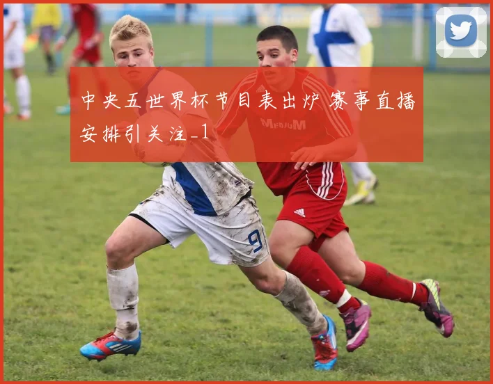 中央五世界杯节目表出炉 赛事直播安排引关注_1
